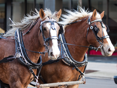 Mrs. Claus got a facelift.