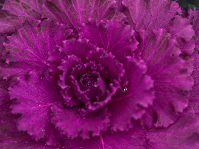 That`s what we need -- more rain.