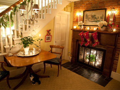 This is NOT my home decorated for Christmas.