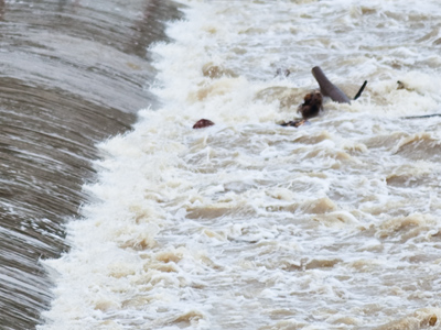 Death is never very far away (see January 13, 2005).