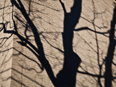 In the bright midwinter.