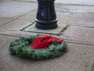 This was supposed to be the third photograph for today, but the wind blew it over here.