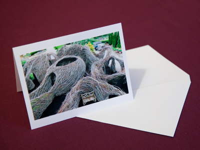 These notecards are being sold with my name on them.  That`s nice, except for the fact that I didn`t take this photo.