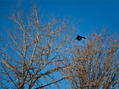 That`s my soul up there.  THE POLICE