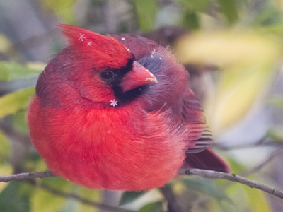 I hope it`s warm where you are.