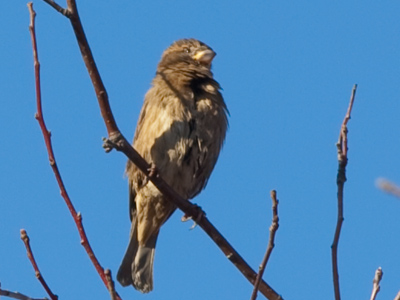 At this point, the sheer joy of being outside in the cold was beginning to wear off, but I still needed one more picture.