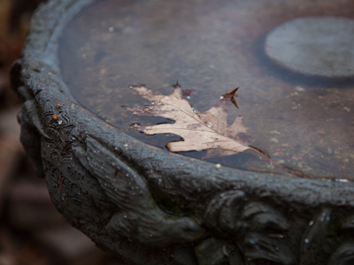 Tis the season of death.