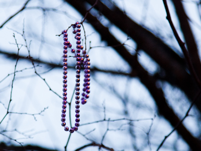 Happy New Year!  Or Mardi Gras, whatever.