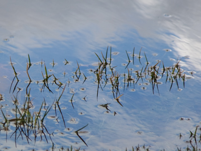 It was a springlike day, complete with flooding.