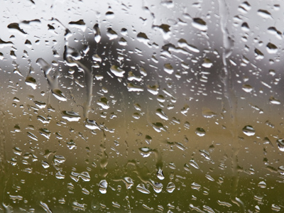 Reluctant to ruin my perm, I retreated to the car.