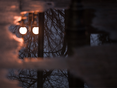 Our most precious resource just laying on the ground.