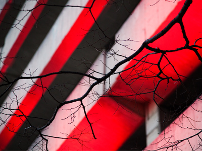 `Why are you taking pictures?` a skateboard kid asked.  Because it`s February and 50 degrees outside.