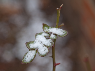 Come on, February.  Is this the best you can do?