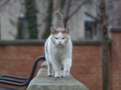 You never know who might approach you in a public park.