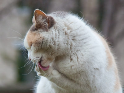 Now that`s just gross.