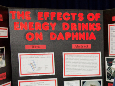 My favorite project determined that if you give energy drinks to small crustaceans, their hearts explode.  I asked the student if her research was sponsored by Monster.