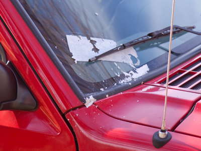 In the analysis (certain to be a best-seller), the curator will point out that I posted five photos every day on the Web.