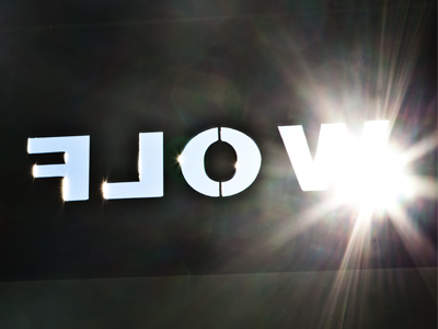 WOLF spelled backwards is FLOW.