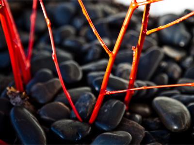 A passerby said, `Today is a great day for photography.`  Today is a great day for anything (except maybe skiing).