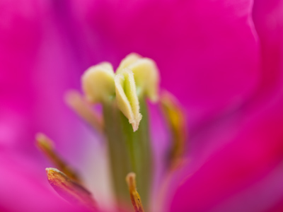 At this point, tiny raindrops began to strike my camera.