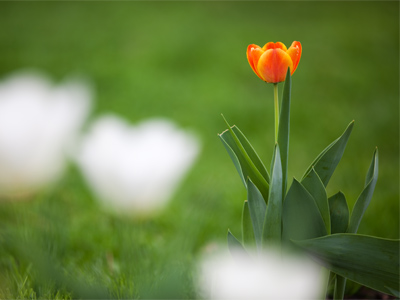 One photographic technique that I have learned over the years is how to crouch down awkwardly in a public place.