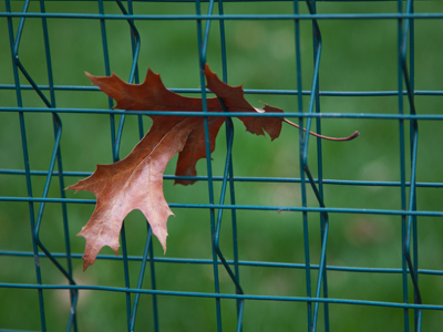 See, I told you life was short.