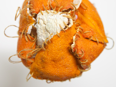 The artist makes more than just paintings.