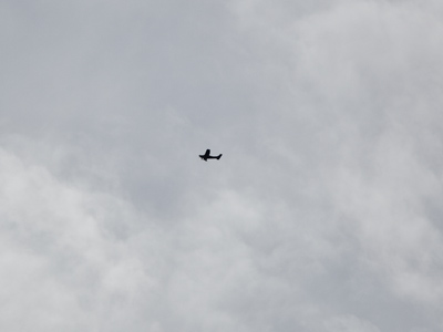 A walk in the clouds.