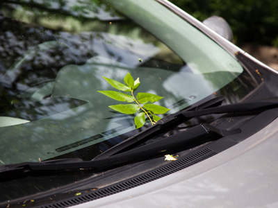 You`ve been ticketed by the Nature Police.