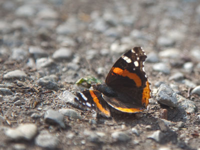 He left us much too soon.