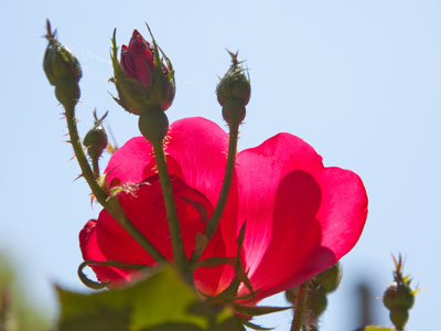 Tomorrow I will teach a photography workshop in which I will tell people not to take pictures like this.