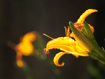 There`s not enough time in the day to enjoy the day.