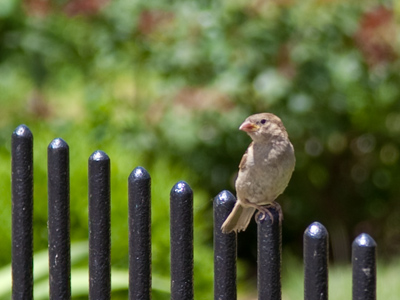 Okay, now turn your head to the side.  That`s right.  CLICK!