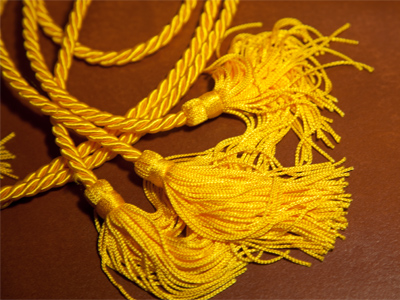 Somehow, after yesterday`s commencement, I acquired these cords which indicate that I graduated with honors.