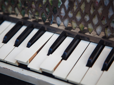 As I shot this photo, someone walked up and informed me, `No, you should be taking a picture of this over here.`