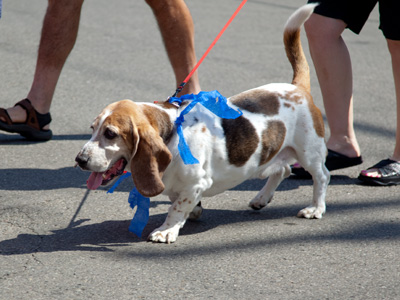 I think there were humans in this parade too.