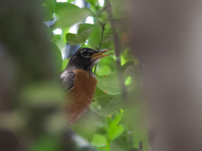 I was reluctant to tell him his breath smelled like worms.