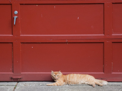 Hurry, give me the garage door opener!