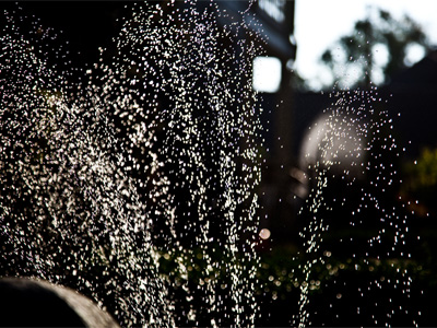 Zero percent chance of rain.