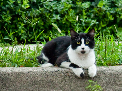 Pretty Mouth and Green My Eyes.