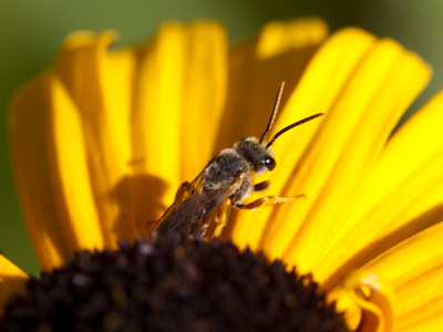 Don`t forget your sunblock.