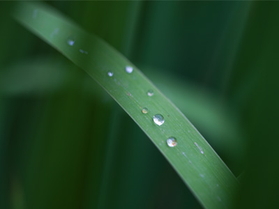 We can`t live without it.