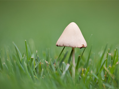 All the interesting stuff is below knee level.