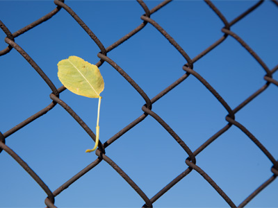 Down by the schoolyard.