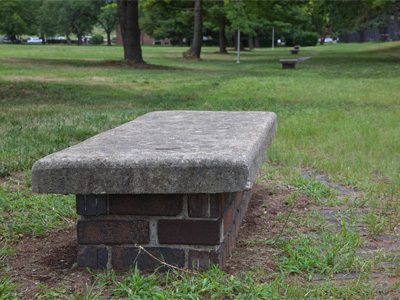 Today I walked a different route and discovered an old brick path, overgrown and deteriorated, with benches to rest on the journey from someplace to someplace else.