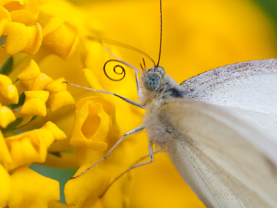 I see other people taking pictures of the same thing with their little cameras and I wonder what they`re getting.