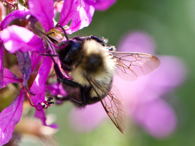 I tried to stay out of the way of the photographers, and felt pity for them since both families had small children.