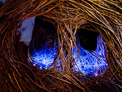 I was crouched inside there with a flash and a blue gel.