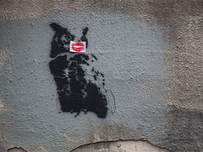 An extremely rare Urban American Owl with Lips.