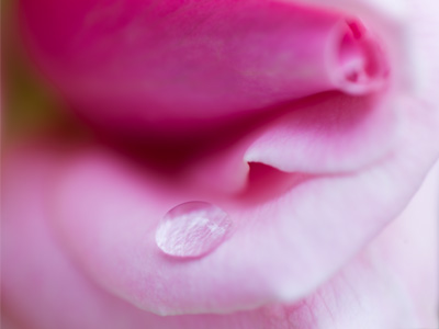A single drop of the Gulf of Mexico, delivered by Isaac.